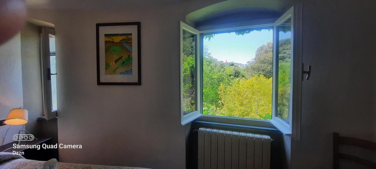 Appartement Vecchio Mulino Fontona Girasole à Chiesanuova  Extérieur photo